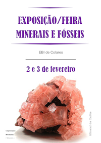 Fosseis Colares 200