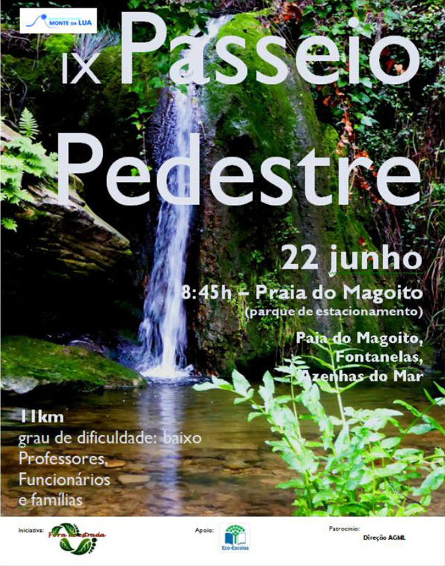 cartaz640