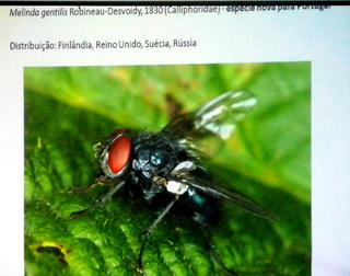 Biologia 05