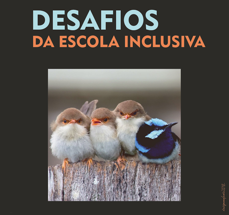 meio Cartaz Jornadas 2019